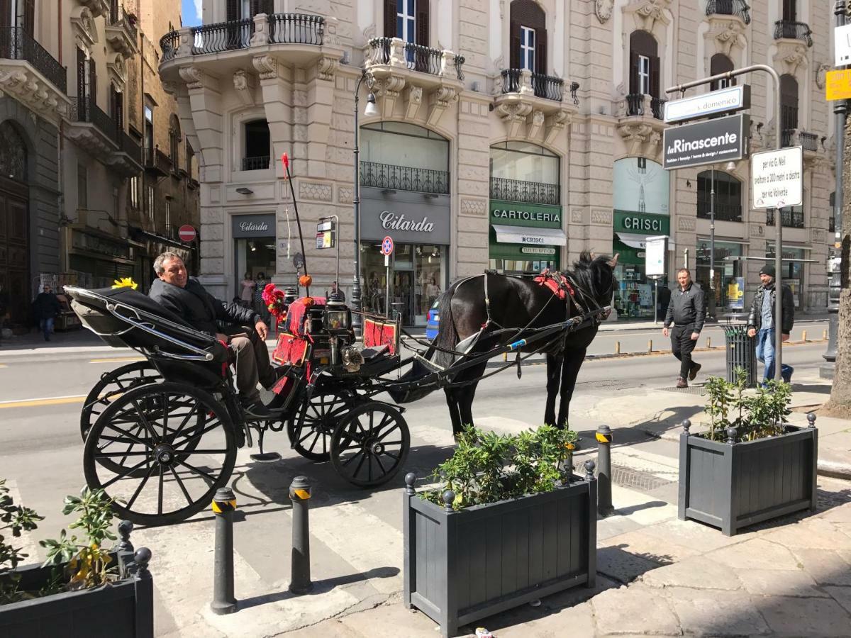 Appartamento San Domenico Palermo Exteriér fotografie